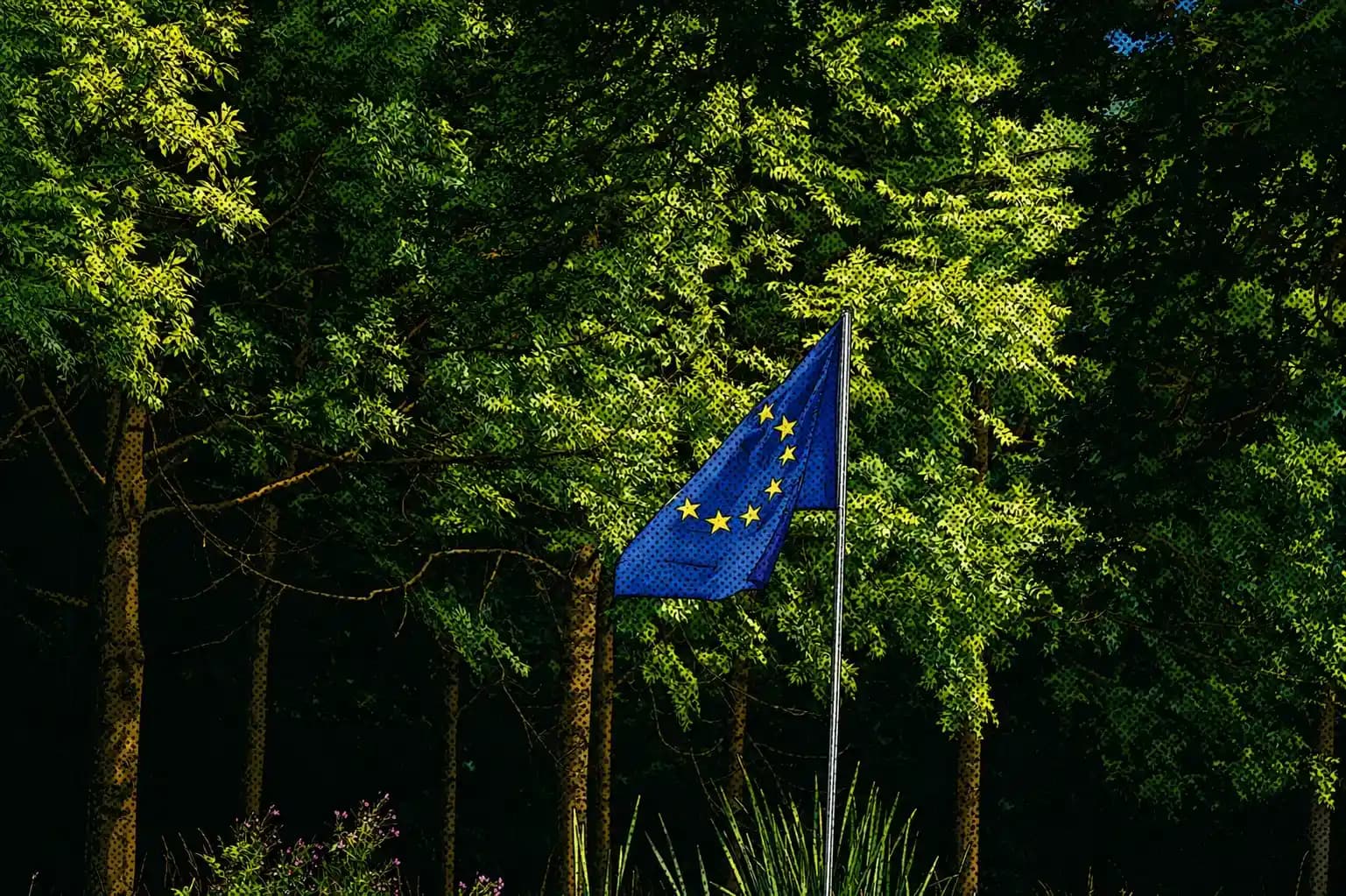 European Union flag among sunlit trees