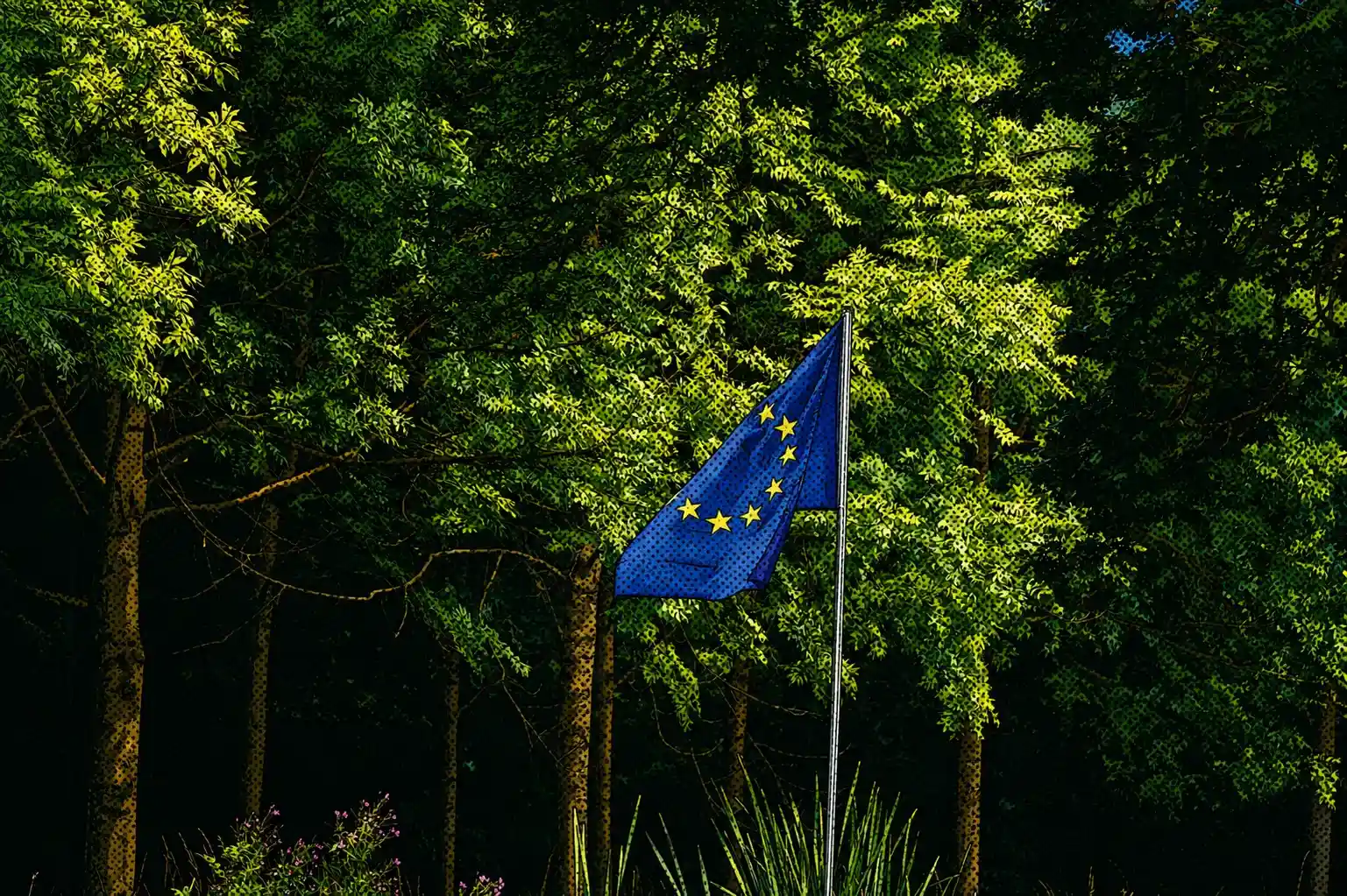 What 265 reviewed firms reveal about Europe's VC map
