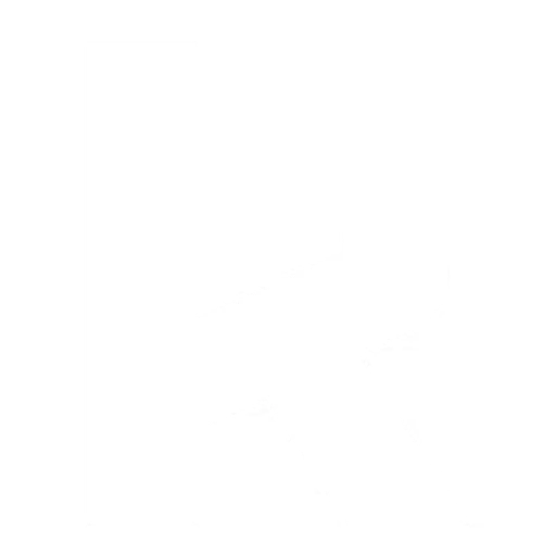 Kost Capital logo